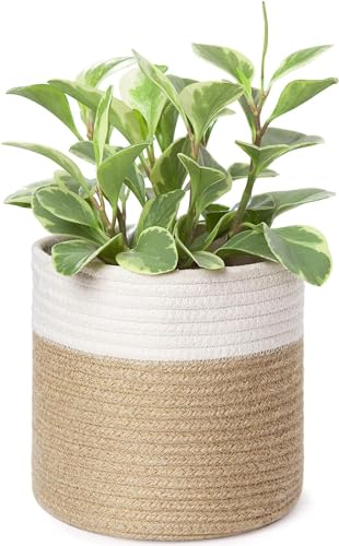 Dahey Small Cotton Rope Plant Basket Woven Plant Coiled Basket for Up to 7" Planter, Decorative Flower Pot Cover Closet Storage Bin Table Desk Organizer for Home Decor, White and Beige - Image 1
