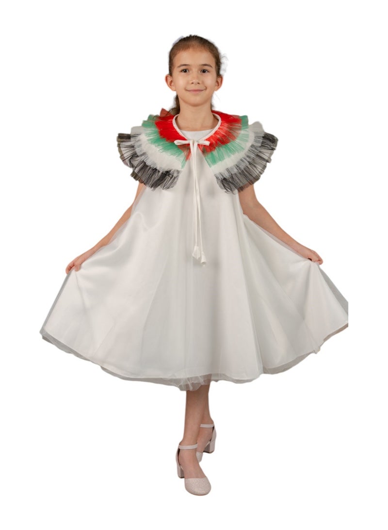 D'Daniela UAE Flag National Day and EID Dress - Image 1