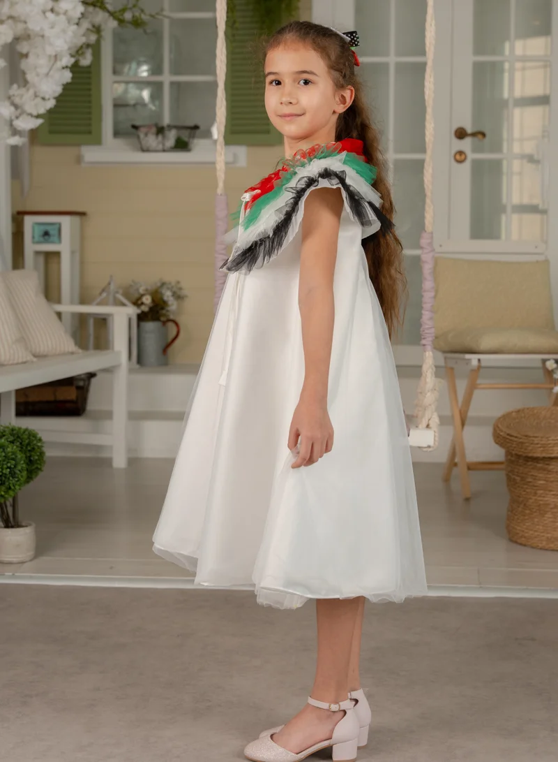 D'Daniela Ruffled Collar Dress