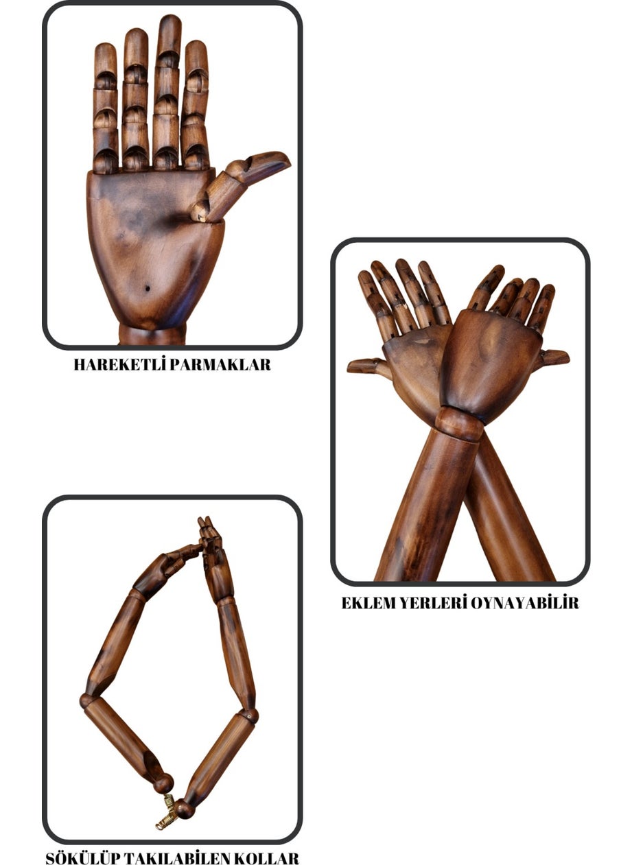 Manken İstanbul Mannequin Istanbul Luxury Gold Footed Tailor Mannequin with Wooden Arms Size 38 That Can Wear Trousers Showcase Mannequin  - Image 3