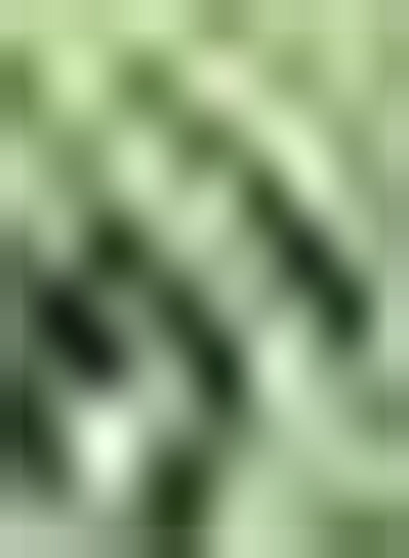 GGOOT 50Stück Okra Samen pflegeleichte Pflanzung im Freien um eine einzigartige Pastorale Landschaft zu schaffen breites Anwendungsspektrum geeignet für Anfänger Anfänger Gärtner - Image 1