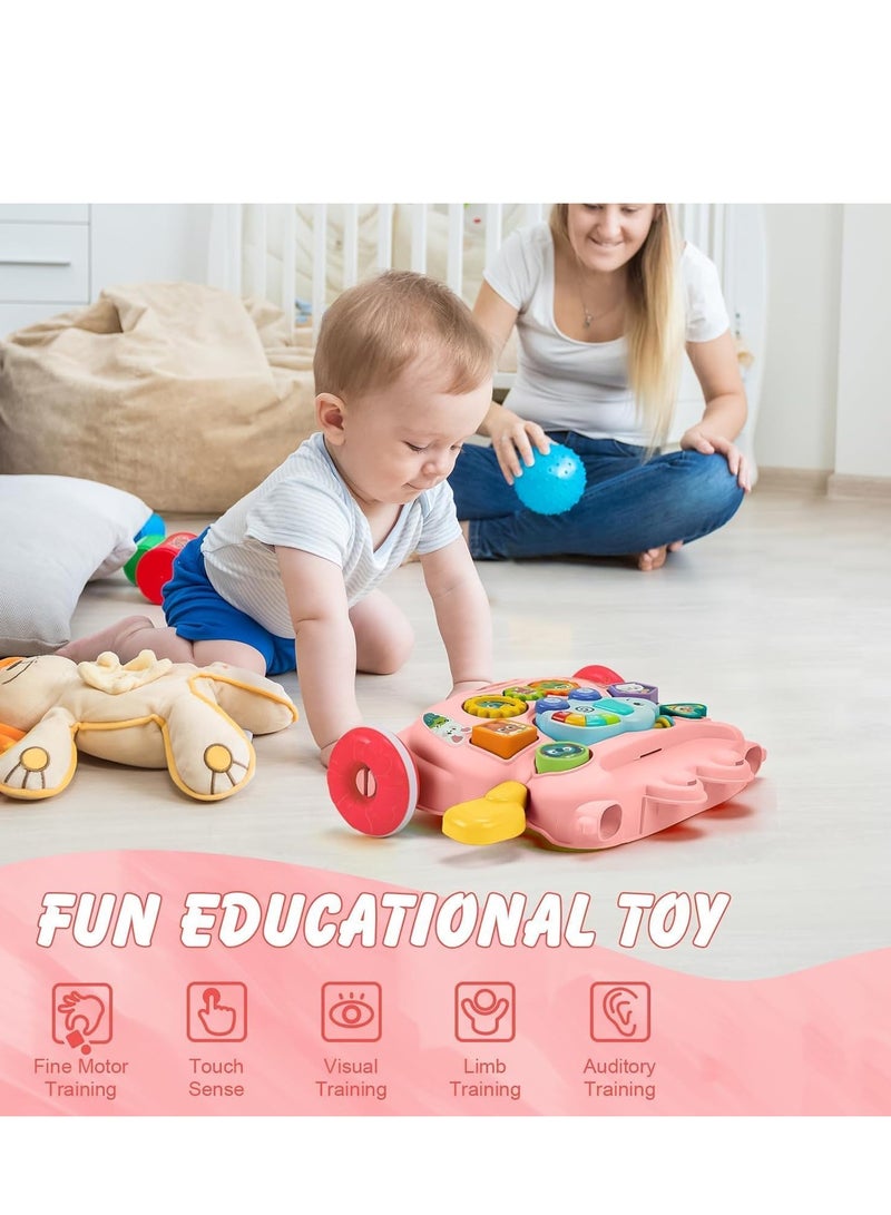 TRASSLE Sit-to-Stand Learning Walker, Baby Walker Push & Pull Toy, Sorting & Stacking Toys, Drawing Board for Toddlers - Image 3