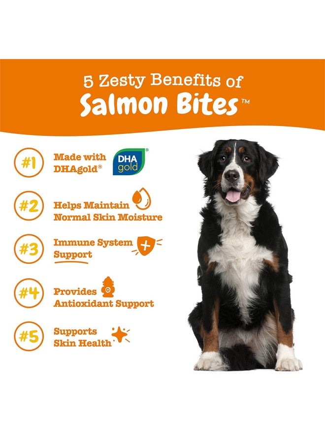 Zesty Paws Salmon Fish Oil Omega 3 For Dogs  With Wild Alaskan Salmon Oil  Anti Itch Skin & Coat + Allergy Support  Hip & Joint + Arthritis Dog Supplement + Epa & Dha  90 Chew Treats  Salmon Flavor - Image 2
