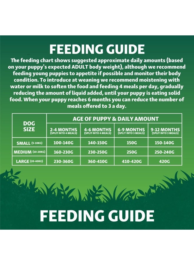 Harringtons Superfoods Chicken with Vegetables Puppy Dry Dog Food 10 KG - Image 5