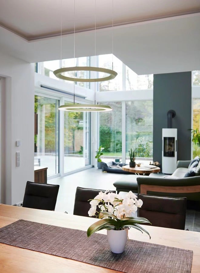 MAAC HOME MAAC Home Delphinium - Unique Ring LED Light Modern Decorative Stylish Elegant Contemporary Minimalist Pendant Lamp for Bedroom, Living Room, and Office, Home Décor  - Image 3