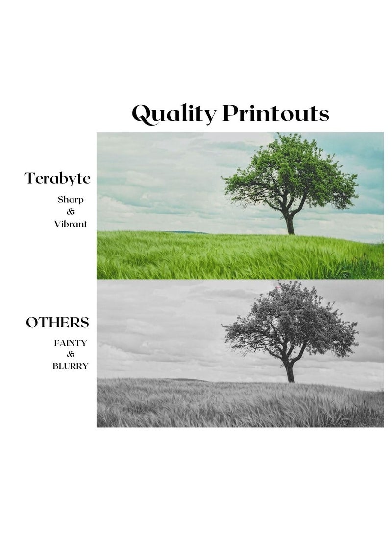 Terabyte 117A Yellow Toner Cartridge - Image 4