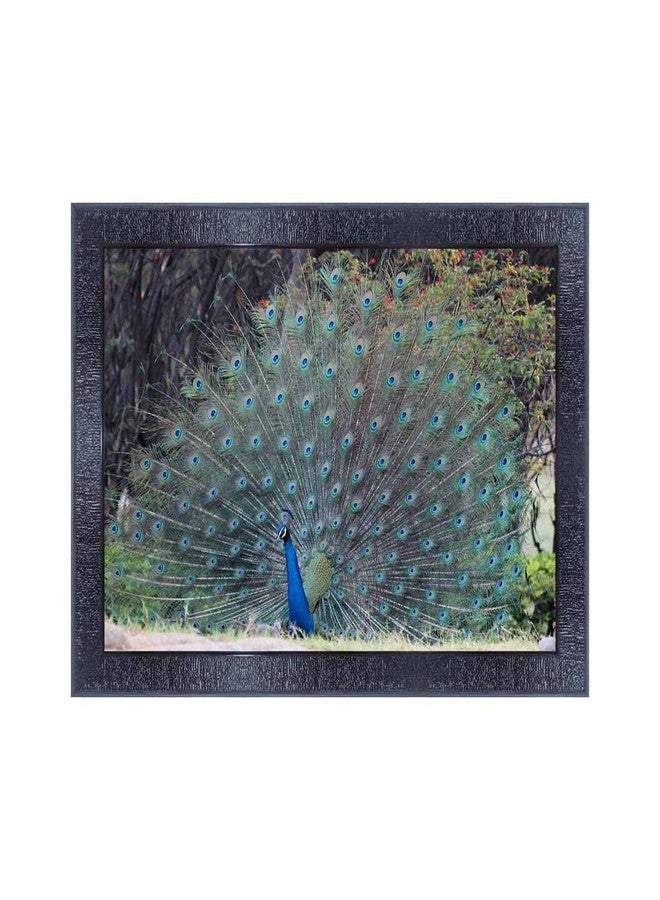 pnf Poster And Frames Peacock Wall Painting With Acrylic Sheet | For Living Room, Bedroom | Home Decoration Item | Best Gifting Option (10 * 14inch,Multicolour,Synthetic) 19669 - Image 1
