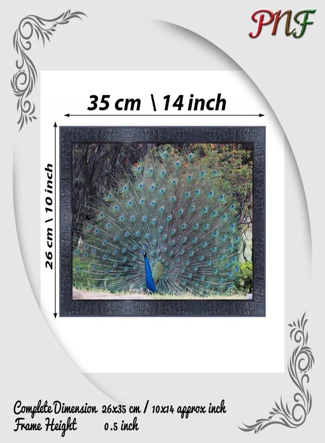 pnf Poster And Frames Peacock Wall Painting With Acrylic Sheet | For Living Room, Bedroom | Home Decoration Item | Best Gifting Option (10 * 14inch,Multicolour,Synthetic) 19669 - Image 2