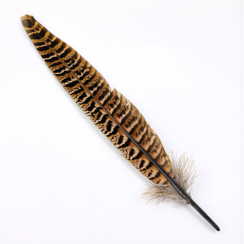 Pre Processed Non Shedding No Fading Feathers For Advanced DIY Craft Use - Image 5
