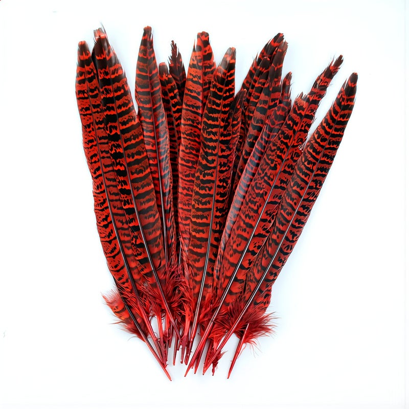 Pre Processed Non Shedding No Fading Feathers For Advanced DIY Craft Use - Image 3