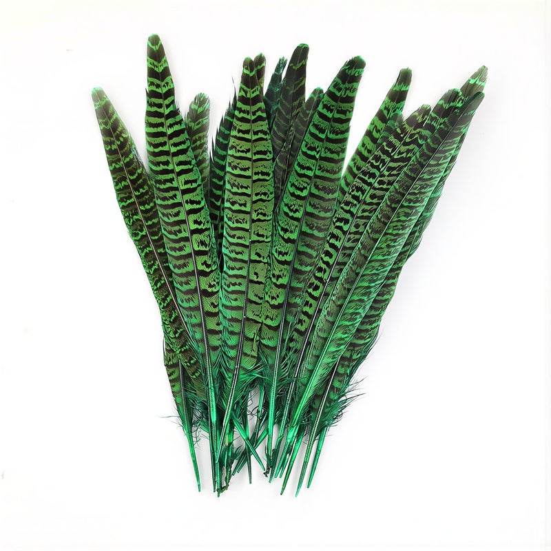Pre Processed Non Shedding No Fading Feathers For Advanced DIY Craft Use - Image 1