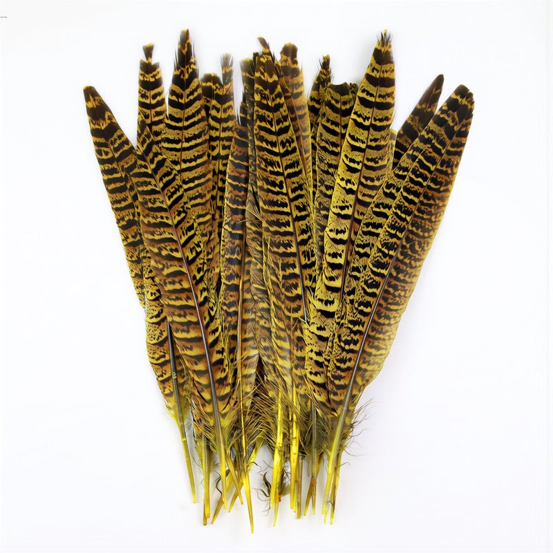 Pre Processed Non Shedding No Fading Feathers For Advanced DIY Craft Use - Image 2