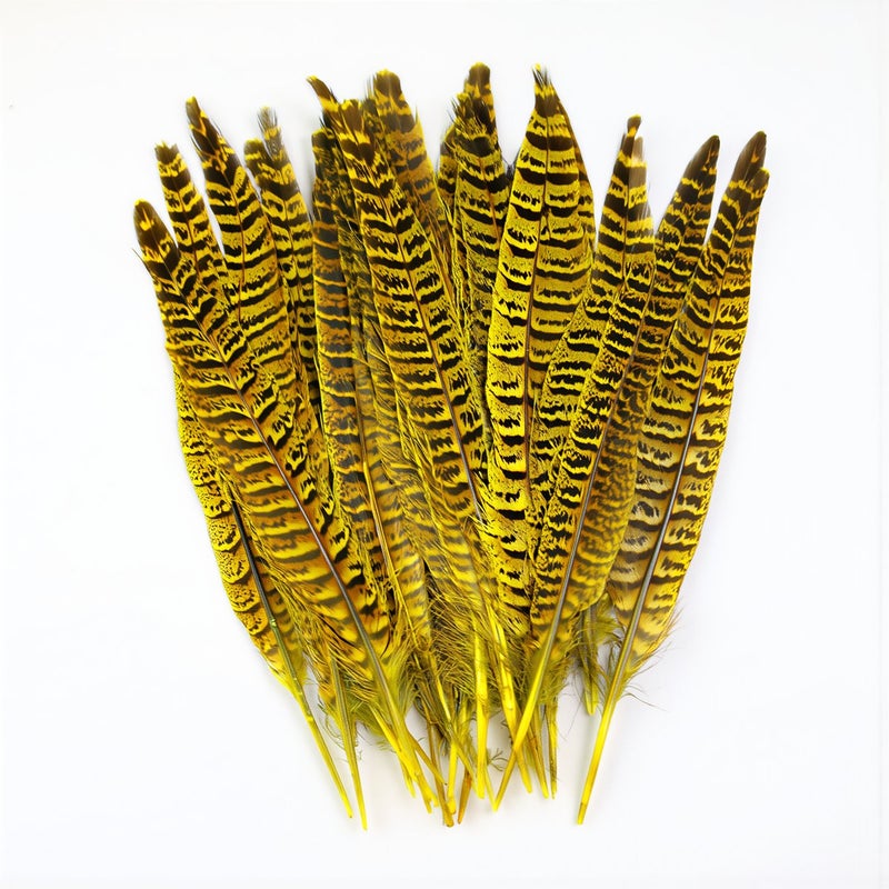 Pre Processed Non Shedding No Fading Feathers For Advanced DIY Craft Use - Image 4