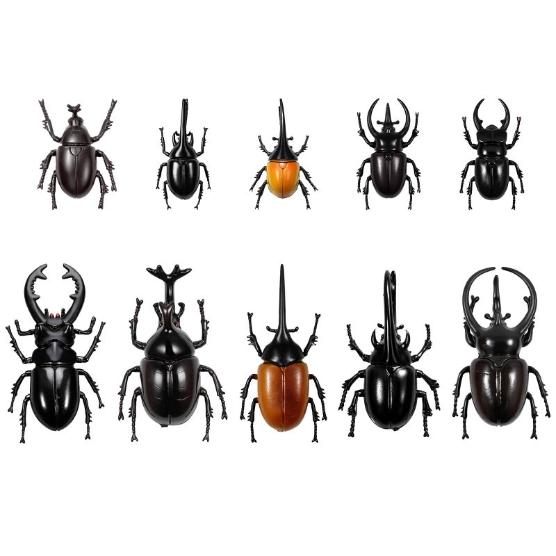 Bbiamsleep 10pcs Beetle Figurine Realistic Beetles Figure Models Garden Animal Simulated Beetle Figures - Image 2