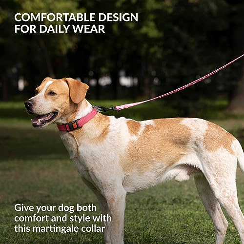 CollarDirect Martingale Dog Collar with Stainless Steel Chain and Quick Release Buckle - Reflective Collar for Large, Medium, Small Dogs - Pink, Large (Neck Size 17"-22") - Image 5