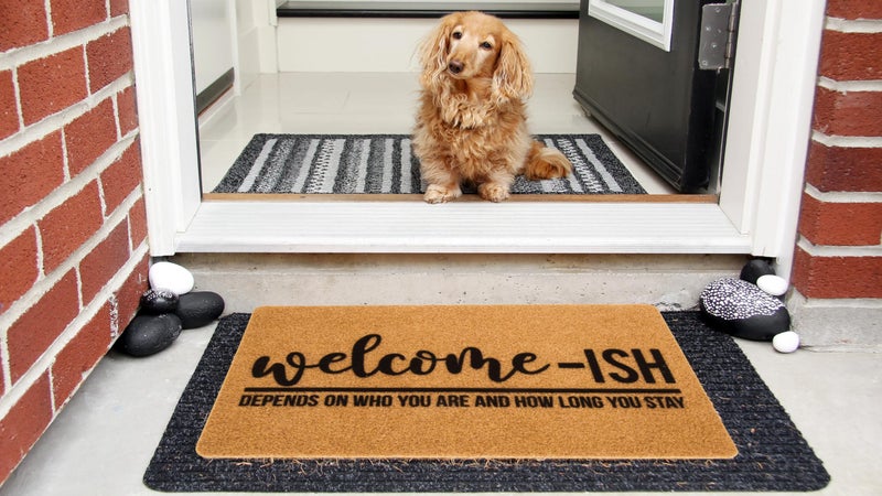 Eohak Welcome-Ish Front Door Mat - Welcome-Ish Depends Who You are Doormat Non Slip Backing Mat for Home Entry Farmhouseï¼ˆ17"x 29" ï¼‰ - Image 3