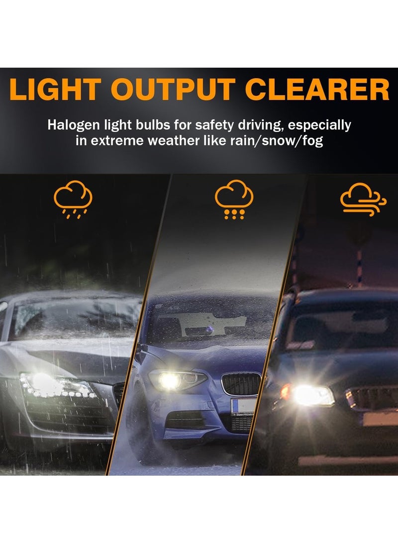 FEEMA H4 Halogen Headlight Bulb 12v_60/55W 5000K – Ultra Bright Clear Vision Quartz Glass Bulbs with Long Lifespan for Safe Night Driving and Extreme Weather Conditions - Image 4