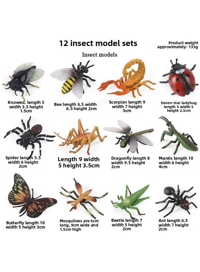 Children's Early Education Simulation Marine Animal Model Dinosaur Toy Birds Insect Sand Table Fleshy Scene Fish Tank Ornaments-Color:RD-Insect 12 Set - Image 1