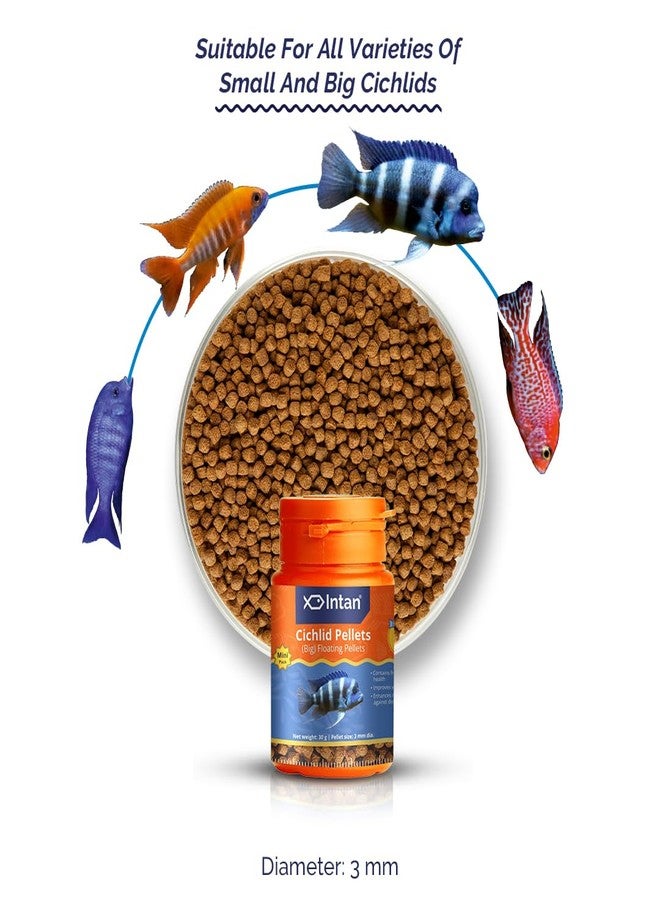 Intan Cichlid Pellets (Big 3mm Floating) | 30gm - Highly Nutritious Ornamental Fish Food for All Varieties of Small & Big Cichlids | Growel Feeds - Image 2