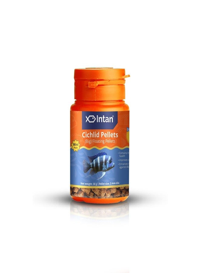 Intan Cichlid Pellets (Big 3mm Floating) | 30gm - Highly Nutritious Ornamental Fish Food for All Varieties of Small & Big Cichlids | Growel Feeds - Image 1