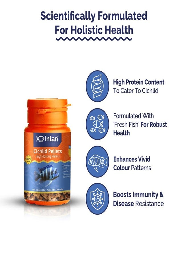 Intan Cichlid Pellets (Big 3mm Floating) | 30gm - Highly Nutritious Ornamental Fish Food for All Varieties of Small & Big Cichlids | Growel Feeds - Image 4