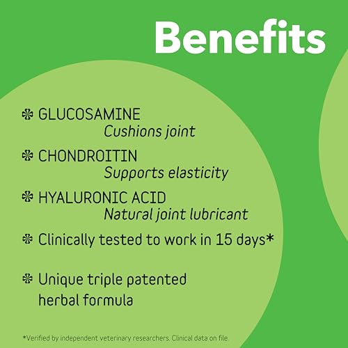 In Clover InClover Connectin Natural Hip & Joint Supplement for Dogs with Glucosamine, Chondroitin & Hyaluronic Acid - Soft Chew for Dog Mobility, Comfort & Active Lifestyle Support, 300 Count - Image 3