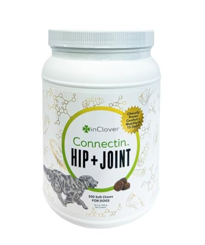 In Clover InClover Connectin Natural Hip & Joint Supplement for Dogs with Glucosamine, Chondroitin & Hyaluronic Acid - Soft Chew for Dog Mobility, Comfort & Active Lifestyle Support, 300 Count - Image 1