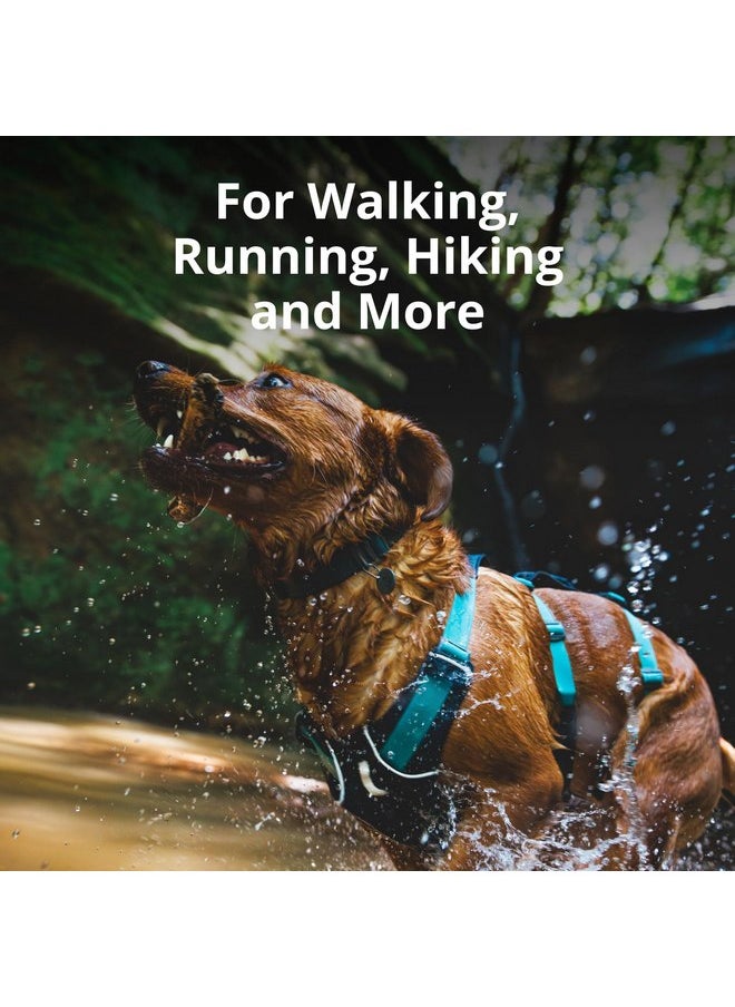 RUFFWEAR Ruffwear, Flag line Dog Harness, Lightweight and Reflective, No Pull Dog Lift Harness for Hiking, Running and Everyday Use, Sage Green, Small  - Image 3