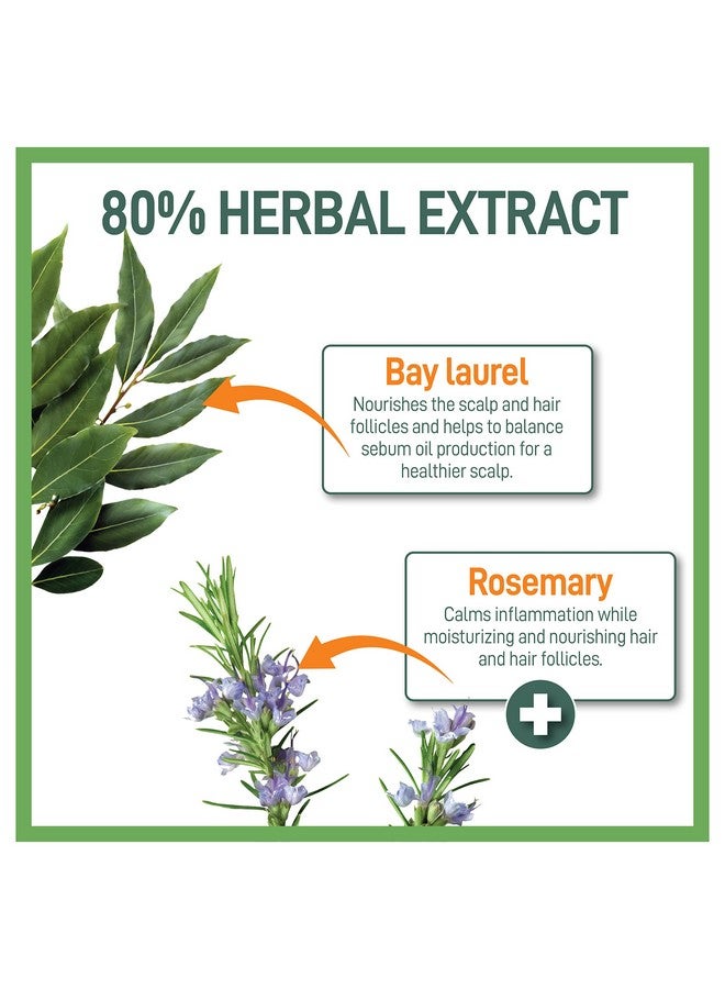 موراز شامبو عشبي للرجال للشعر العادي - شامبو منقي - شامبو منظف ومرطب - شامبو للرجال لتقوية جذور الشعر - 17 أونصة - Image 3