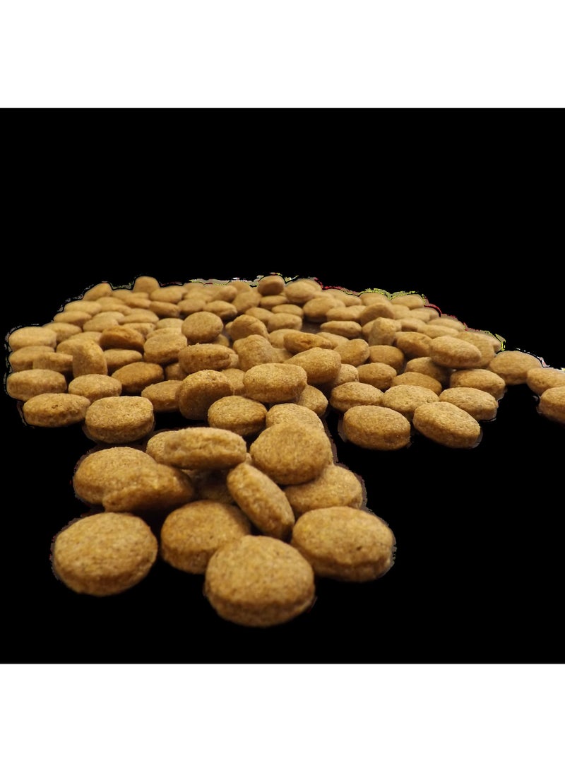 Generic EnergyPet Basic adult dog dry food 4kg  - Image 2
