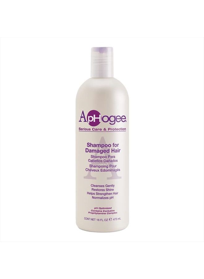 ApHogee Shampoo for Damaged Hair, 16 Fl Oz - Image 1