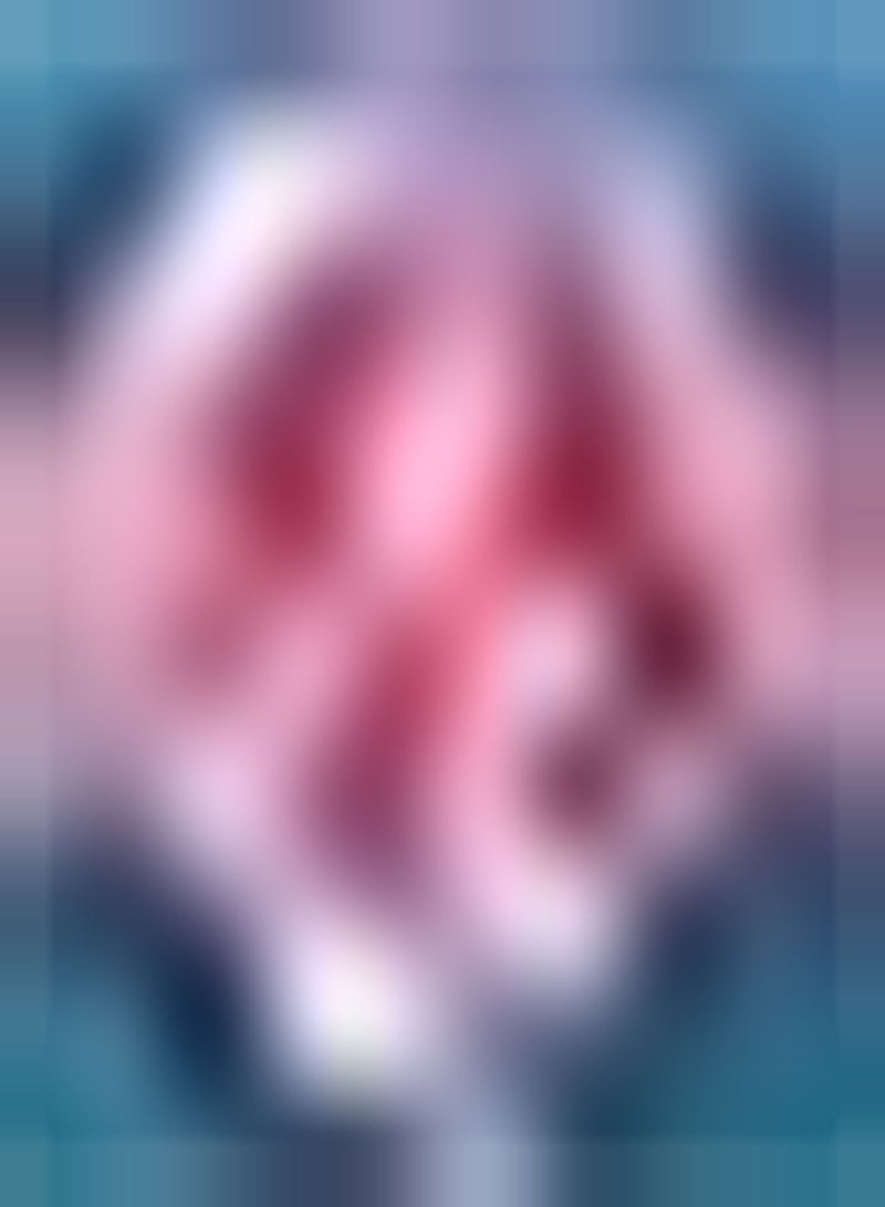 GGOOT 2pcs Roze Amaryllis Bollen Perennial Hardy Weinig Onderhoud Amaryllis Bloem Geurige Spectaculaire Huis Tuin Decoratie Snijbloemen - Image 2