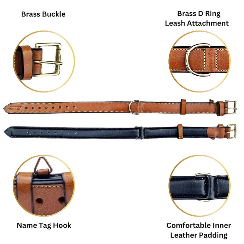 Rubby Premium Leather Dog Collar with Soft Padding, Genuine Leather Collar for Dog, with Brass Buckle and D Ring, 1 inch Width Heavy Duty Collar (Tan, Medium) - Image 2