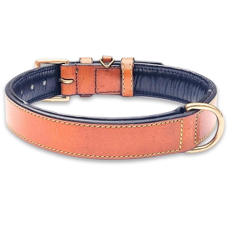 Rubby Premium Leather Dog Collar with Soft Padding, Genuine Leather Collar for Dog, with Brass Buckle and D Ring, 1 inch Width Heavy Duty Collar (Tan, Medium) - Image 5