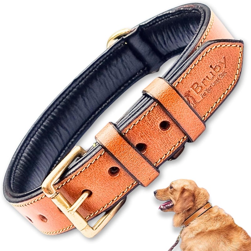 Rubby Premium Leather Dog Collar with Soft Padding, Genuine Leather Collar for Dog, with Brass Buckle and D Ring, 1 inch Width Heavy Duty Collar (Tan, Medium) - Image 1