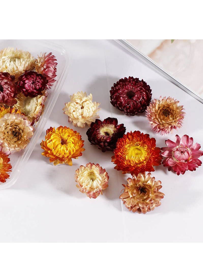 زهور مجففة للريزن و الاشغال - Image 2