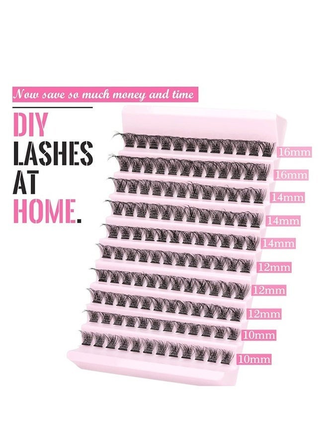 روي بن مجموعة أدوات تمديد الرموش DIY 200 قطعة مجموعة أدوات تمديد الرموش، 10-16 مم  مجموعة أدوات الرموش مع ملاقط الرموش وغراء الرموش - Image 2