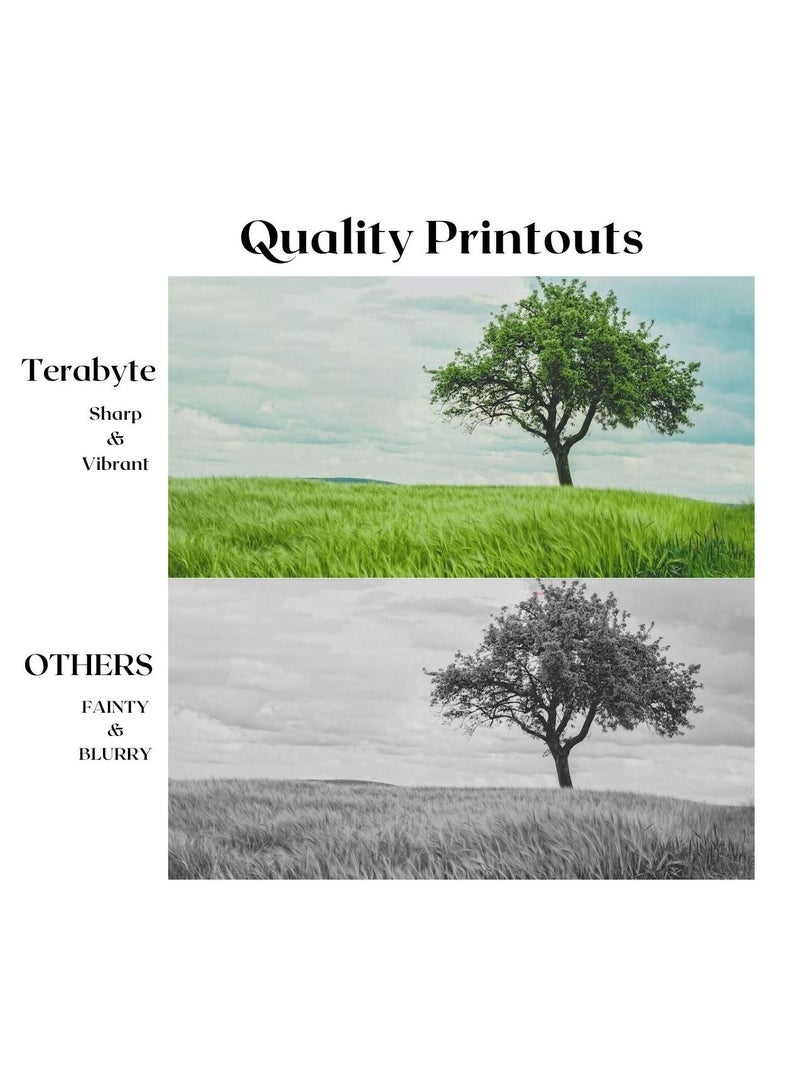Terabyte TN850/3437/3417 BLACK COMPATIBLE TONER - Image 4