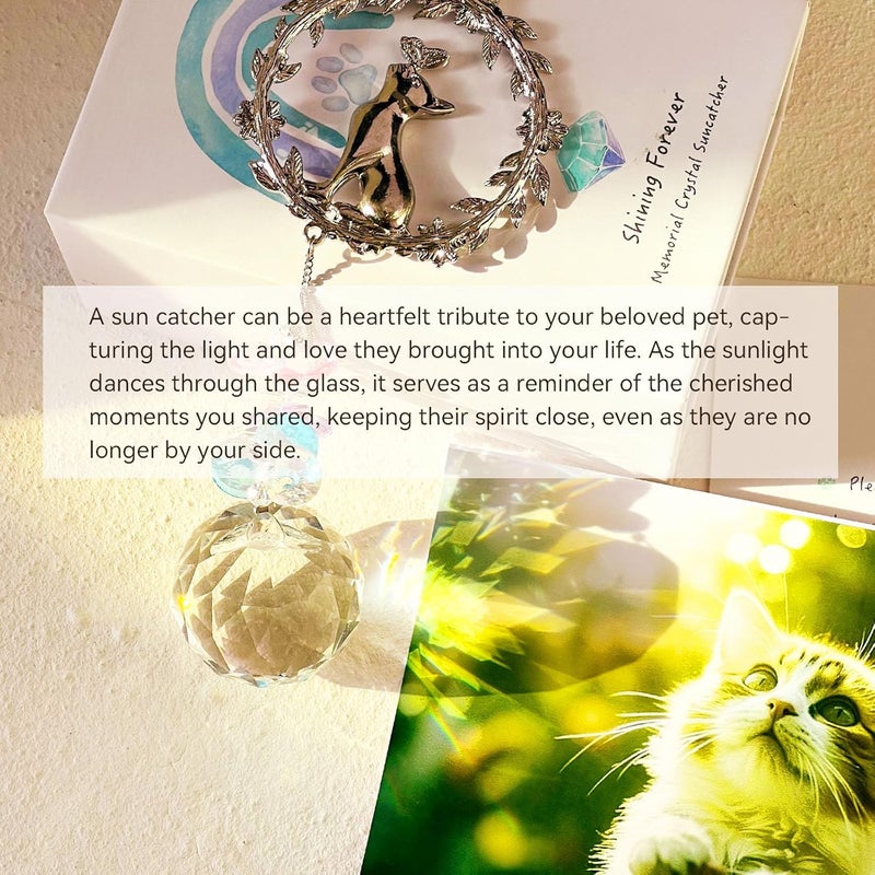 AMETHUARTZ Cat Memorial Crystal Suncatcher - Loss of Pet Sympathy Gifts for Cat Mom, Butterfly Cat Fairy Remembrance Garden Window Hanging Rainbow Ornaments, Passing Away Remembrance Memory Gift for Cat Lovers - Image 4