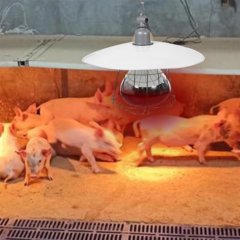 150w Livestock Heating Lamp for Piglets Durable Heat Preservation Tool with Safe Structure Ceramic Design for Warmth and Anti-Scald Protection - Image 2