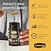 Comvita Manuka Honey UMF 15 MGO 514  Raw Manuka Honey New Zealand Pure  Unpasteurized Superfood for Immune Health Use in Tea Wild Monofloral NonGMO  250g 88 oz - Image 4