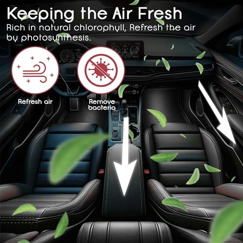 Enew RefreshDrive Twist-Activated Car Gel Air Freshener - Fresh Forest & Wish - Pack 2, Long-lasting Fragrance up to 30 Days, Auto Scent Diffuser with Easy On-Off, Odor Eliminator for Car Interior - Image 4