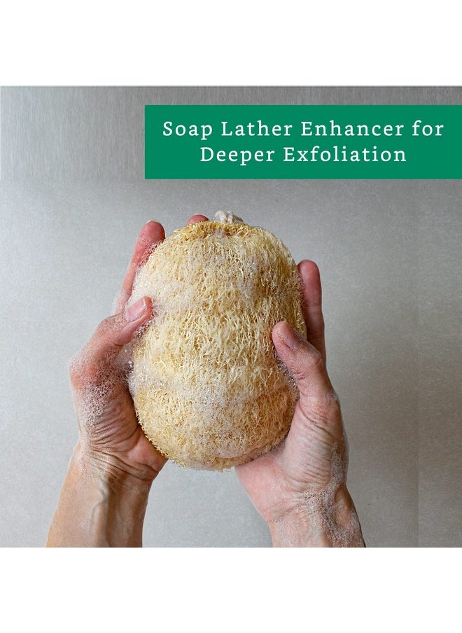 LooLife - Natural Loofah Exfoliating Sponge (3 Pack) Loofa Body Scrubber Loofah Sponge Loofah Exfoliating Body Scrubber Organic Loofah Shower Luffa Sponges Exfoliating Loofah Biodegradable Loofah - Image 1