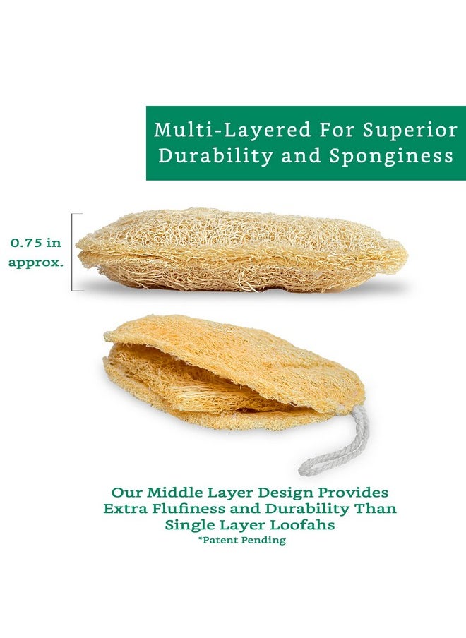 LooLife - Natural Loofah Exfoliating Sponge (3 Pack) Loofa Body Scrubber Loofah Sponge Loofah Exfoliating Body Scrubber Organic Loofah Shower Luffa Sponges Exfoliating Loofah Biodegradable Loofah - Image 1