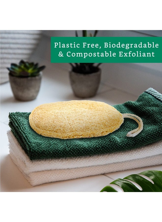 LooLife - Natural Loofah Exfoliating Sponge (3 Pack) Loofa Body Scrubber Loofah Sponge Loofah Exfoliating Body Scrubber Organic Loofah Shower Luffa Sponges Exfoliating Loofah Biodegradable Loofah - Image 1