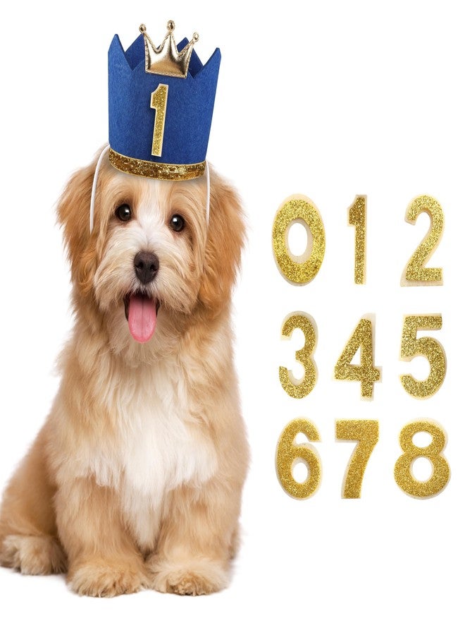 YAODHAOD Crown Dog Birthday Hat Girl Boy Reusable Birthday Party Cat Kitten Headband,Adoption Celebration or Gotcha Day Photos Decorations Party Hat (Blue-Boy) - Image 1