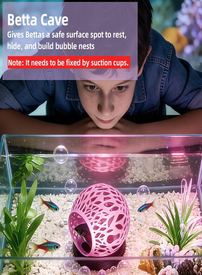 UNISOLODECHO Floating Betta Hideout Cave for Aquarium, Multi-Function Resting Hammock & Shrimp Feeder with Fish Feeding Ring, Betta Fish Tank Accessories, Aquarium Decor & Fish Tank Decor（Rainbow Pink） - Image 4