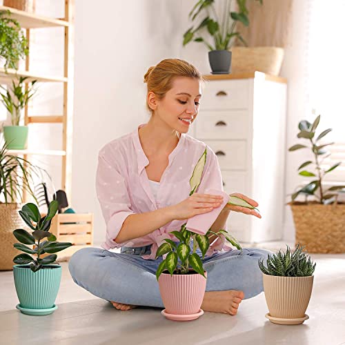 Rabbonix Plastic Round Flower Pots for Home Planters, Terrace, Garden Etc | Pack of 05 | Multicolor | Suitable for Home Indoor & Outdoor Gardening Plants - Image 3