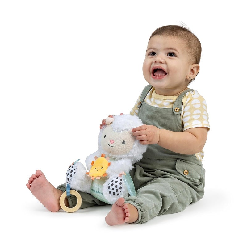 Ingenuity Calm Springs Plush Activity Pal BPAFree Cloud Teether MultiTexture Fabrics Sheppy - Image 2