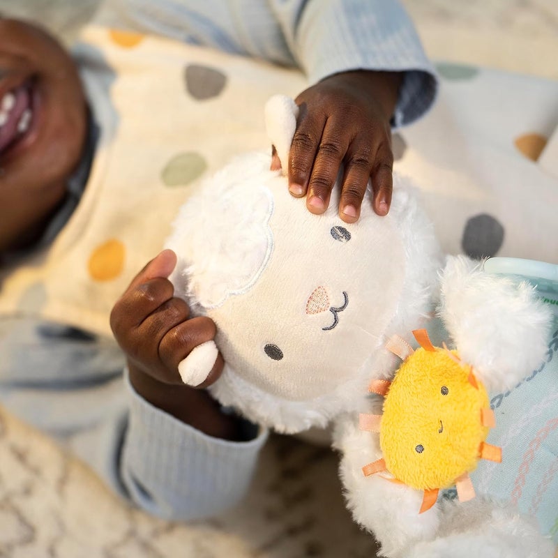 Ingenuity Calm Springs Plush Activity Pal BPAFree Cloud Teether MultiTexture Fabrics Sheppy - Image 5